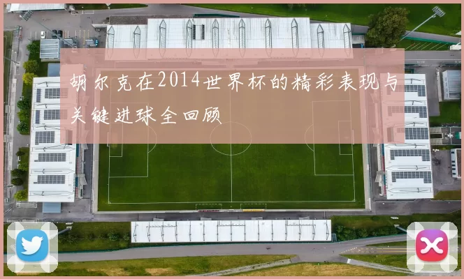 胡尔克在2014世界杯的精彩表现与关键进球全回顾