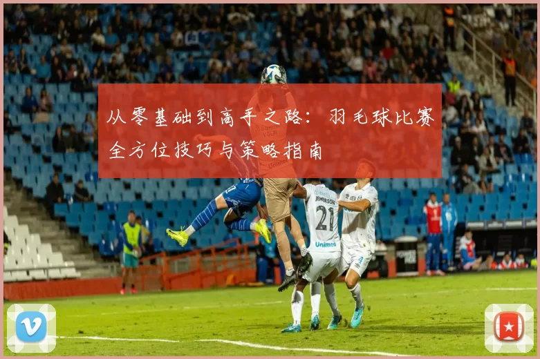 从零基础到高手之路：羽毛球比赛全方位技巧与策略指南
