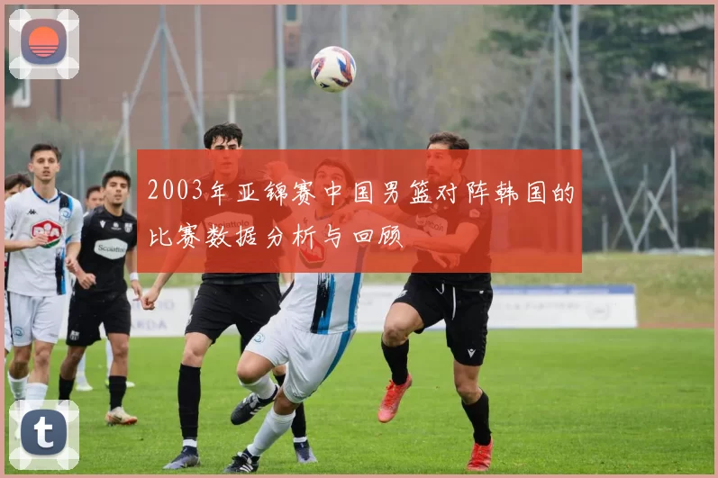 2003年亚锦赛中国男篮对阵韩国的比赛数据分析与回顾