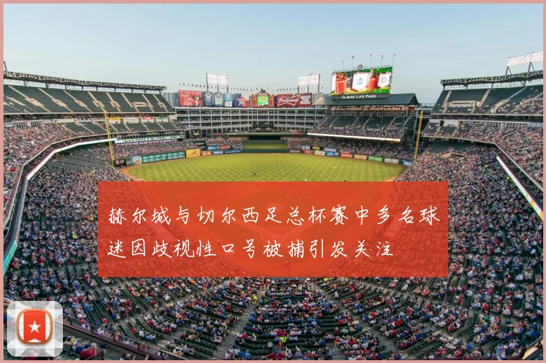 赫尔城与切尔西足总杯赛中多名球迷因歧视性口号被捕引发关注