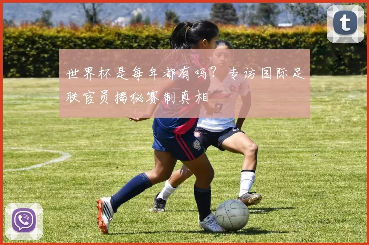 世界杯是每年都有吗？专访国际足联官员揭秘赛制真相