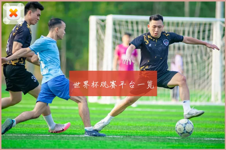 世界杯观赛平台一览