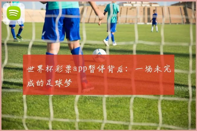 世界杯彩票app暂停背后:一场未完成的足球梦