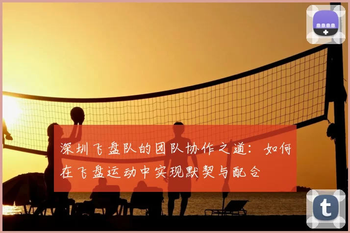 深圳飞盘队的团队协作之道：如何在飞盘运动中实现默契与配合