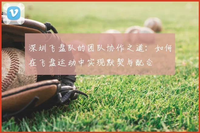 深圳飞盘队的团队协作之道：如何在飞盘运动中实现默契与配合
