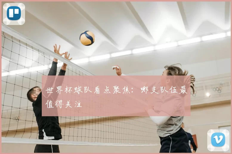 世界杯球队看点聚焦：哪支队伍最值得关注