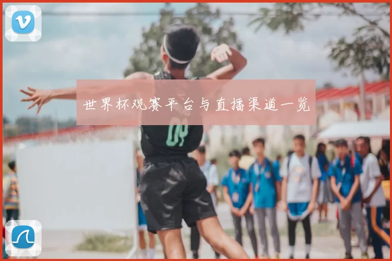 世界杯观赛平台与直播渠道一览