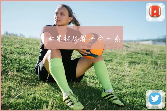 世界杯观赛平台一览