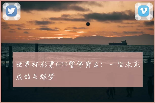 世界杯彩票app暂停背后:一场未完成的足球梦