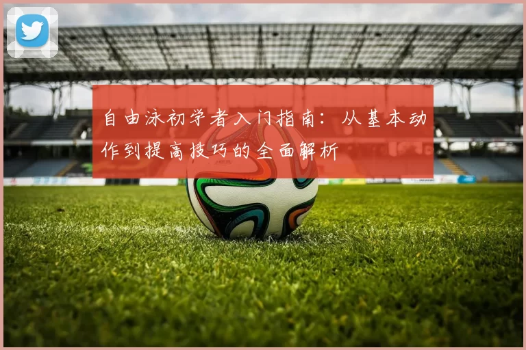 自由泳初学者入门指南：从基本动作到提高技巧的全面解析