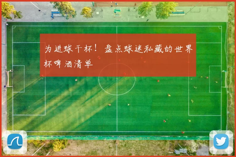 为进球干杯！盘点球迷私藏的世界杯啤酒清单
