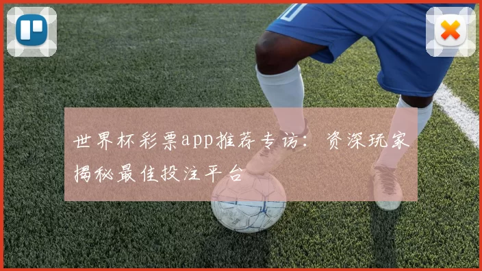 世界杯彩票app推荐专访:资深玩家揭秘最佳投注平台