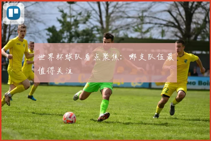 世界杯球队看点聚焦：哪支队伍最值得关注