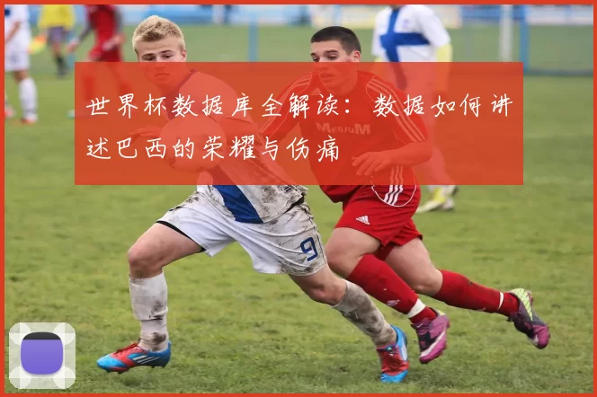 世界杯数据库全解读:数据如何讲述巴西的荣耀与伤痛